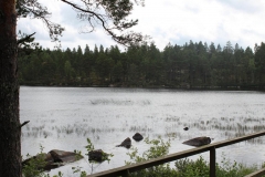 Sommerfreizeit-Schweden-2017-Pauline-O-35